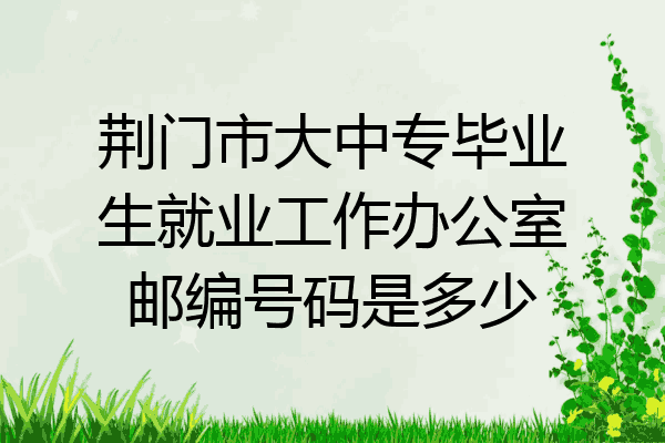 荆门市大中专毕业生就业工作办公室邮编号码是多少