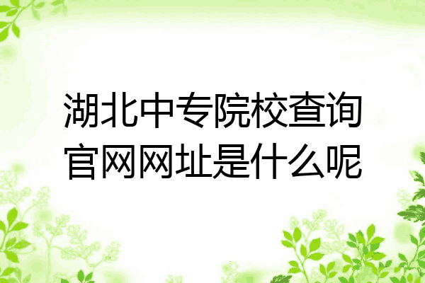 湖北中专院校查询官网网址是什么呢