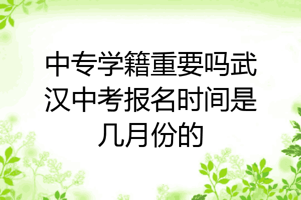中专学籍重要吗武汉中考报名时间是几月份的