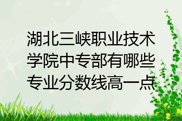 湖北三峡职业技术学院中专部有哪些专业分数线高一点