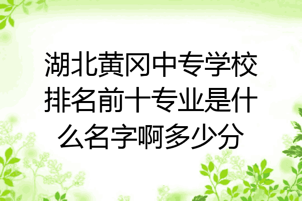 湖北黄冈中专学校排名前十专业是什么名字啊多少分