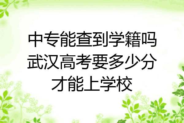 中专能查到学籍吗武汉高考要多少分才能上学校