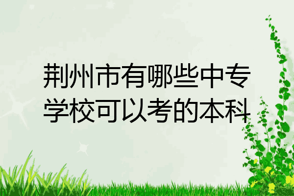 荆州市有哪些中专学校可以考的本科