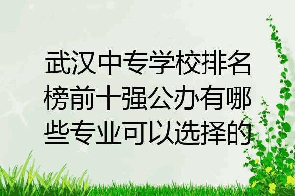 武汉中专学校排名榜前十强公办有哪些专业可以选择的
