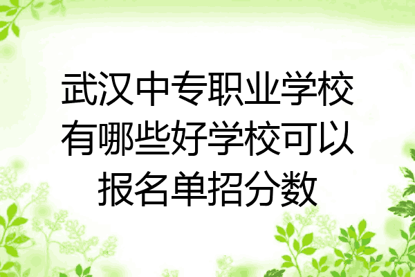 武汉中专职业学校有哪些好学校可以报名单招分数