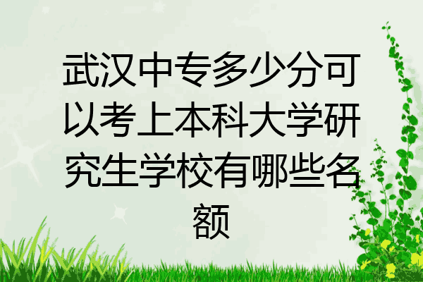 武汉中专多少分可以考上本科大学研究生学校有哪些名额