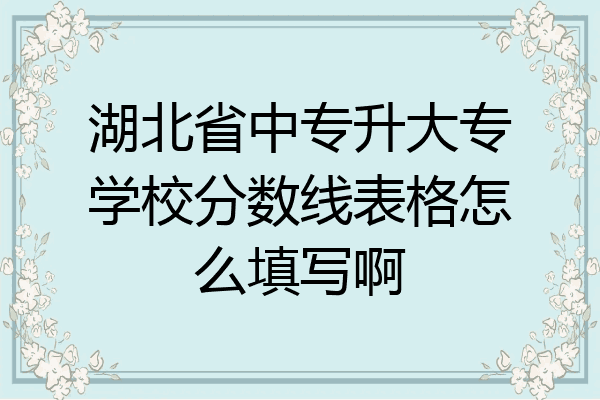 湖北省中专升大专学校分数线表格怎么填写啊