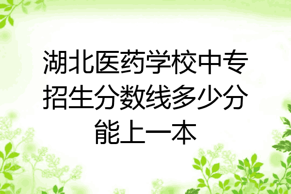湖北医药学校中专招生分数线多少分能上一本