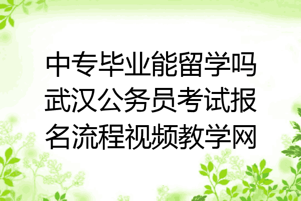 中专毕业能留学吗武汉公务员考试报名流程视频教学网