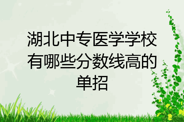 湖北中专医学学校有哪些分数线高的单招