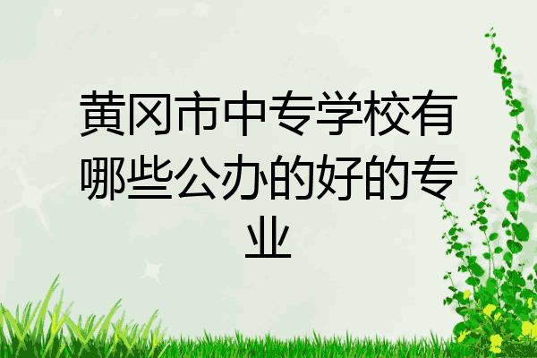 黄冈市中专学校有哪些公办的好的专业
