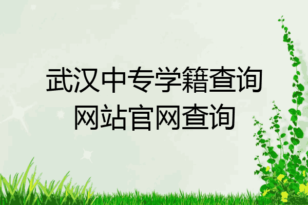 武汉中专学籍查询网站官网查询