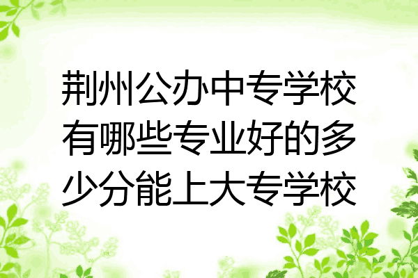 荆州公办中专学校有哪些专业好的多少分能上大专学校