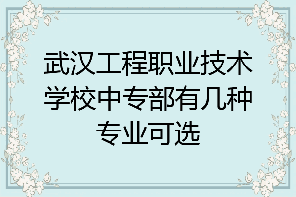 武汉工程职业技术学校中专部有几种专业可选