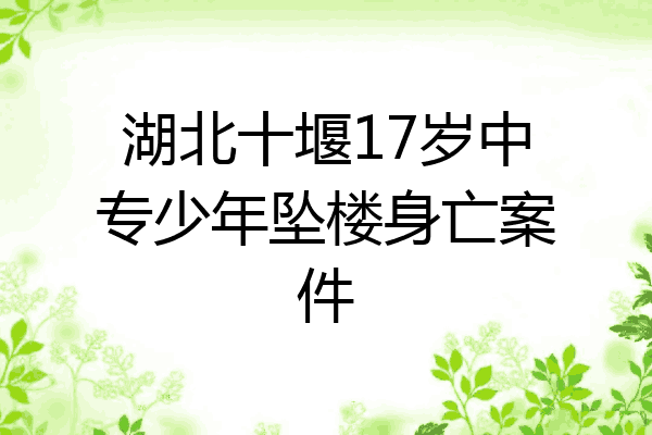 湖北十堰17岁中专少年坠楼身亡案件