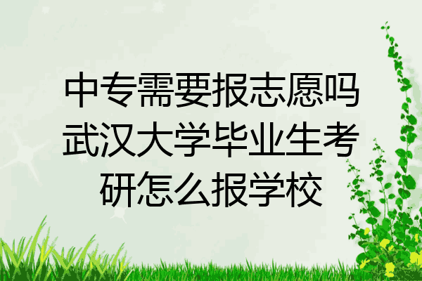 中专需要报志愿吗武汉大学毕业生考研怎么报学校