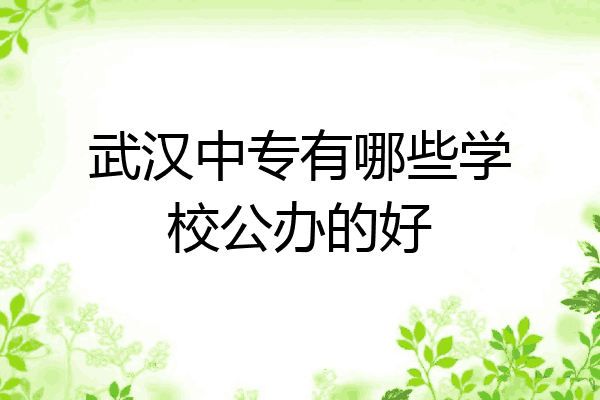 武汉中专有哪些学校公办的好