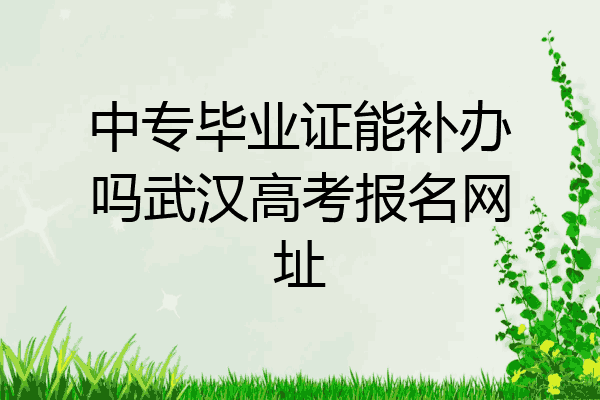 中专毕业证能补办吗武汉高考报名网址