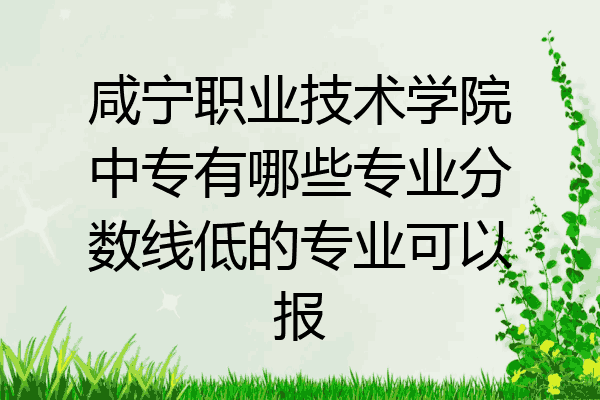 咸宁职业技术学院中专有哪些专业分数线低的专业可以报