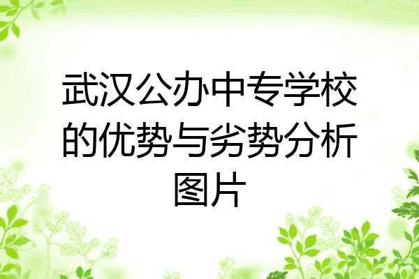 武汉公办中专学校的优势与劣势分析图片