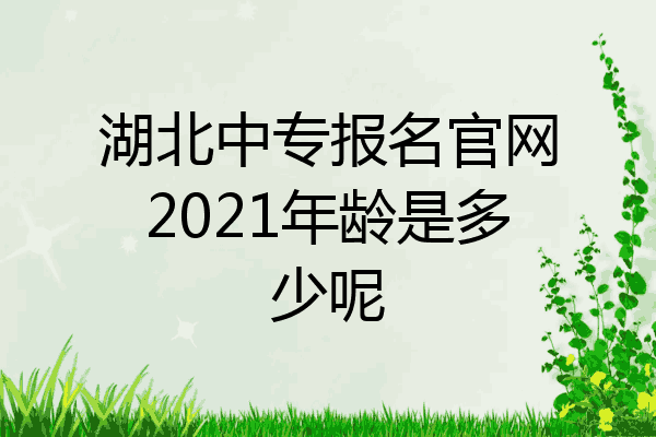 湖北中专报名官网2021年龄是多少呢