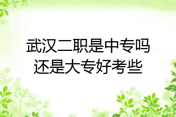 武汉二职是中专吗还是大专好考些