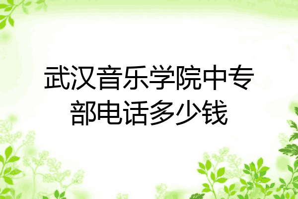 武汉音乐学院中专部电话多少钱