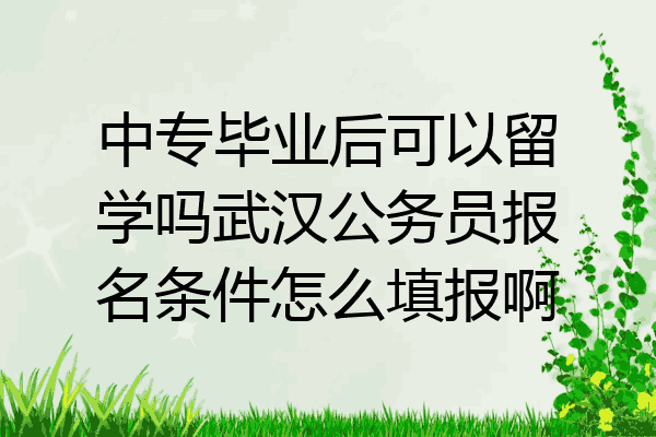 中专毕业后可以留学吗武汉公务员报名条件怎么填报啊