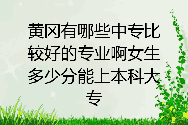 黄冈有哪些中专比较好的专业啊女生多少分能上本科大专