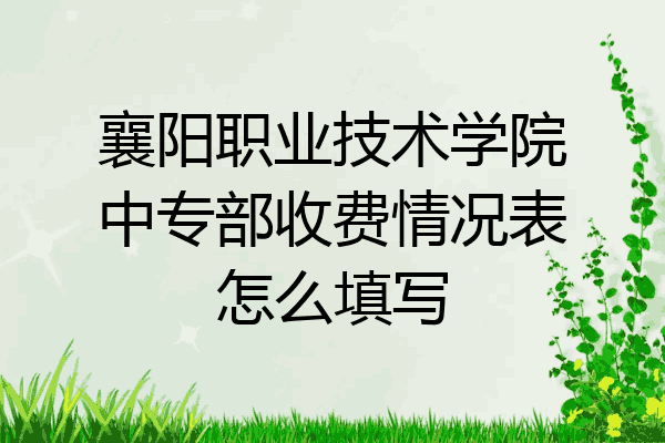 襄阳职业技术学院中专部收费情况表怎么填写