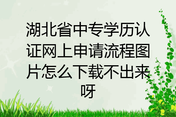 湖北省中专学历认证网上申请流程图片怎么下载不出来呀