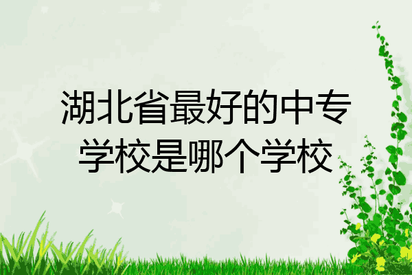 湖北省最好的中专学校是哪个学校