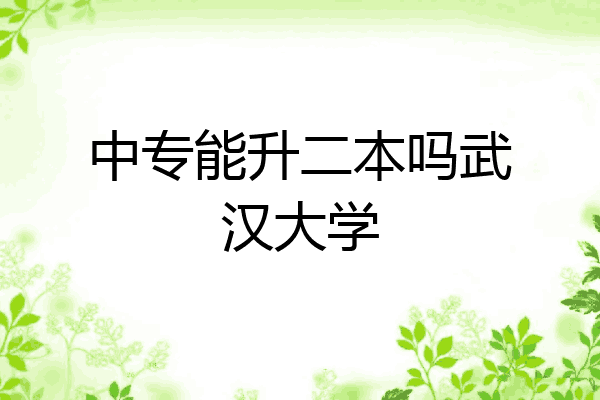 中专能升二本吗武汉大学