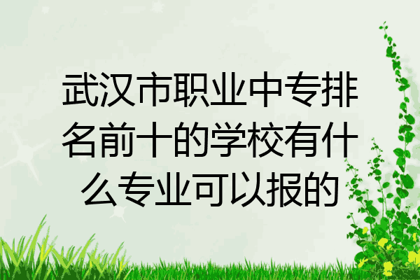 武汉市职业中专排名前十的学校有什么专业可以报的