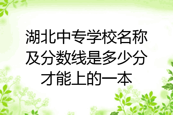 湖北中专学校名称及分数线是多少分才能上的一本