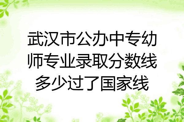 武汉市公办中专幼师专业录取分数线多少过了国家线