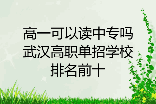 高一可以读中专吗武汉高职单招学校排名前十