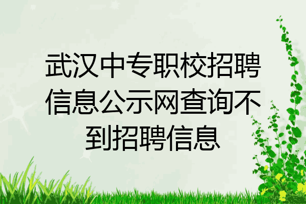 武汉中专职校招聘信息公示网查询不到招聘信息