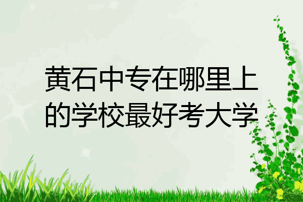 黄石中专在哪里上的学校最好考大学