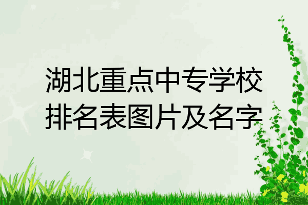 湖北重点中专学校排名表图片及名字