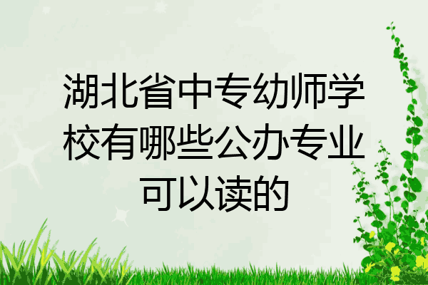 湖北省中专幼师学校有哪些公办专业可以读的