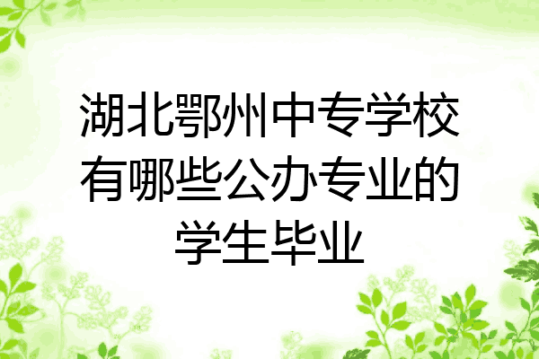 湖北鄂州中专学校有哪些公办专业的学生毕业