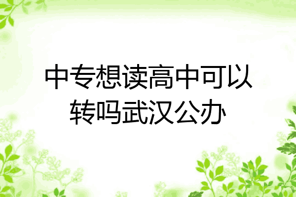中专想读高中可以转吗武汉公办