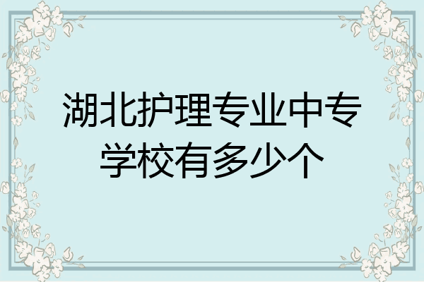 湖北护理专业中专学校有多少个