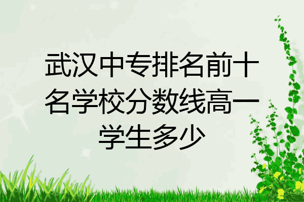 武汉中专排名前十名学校分数线高一学生多少