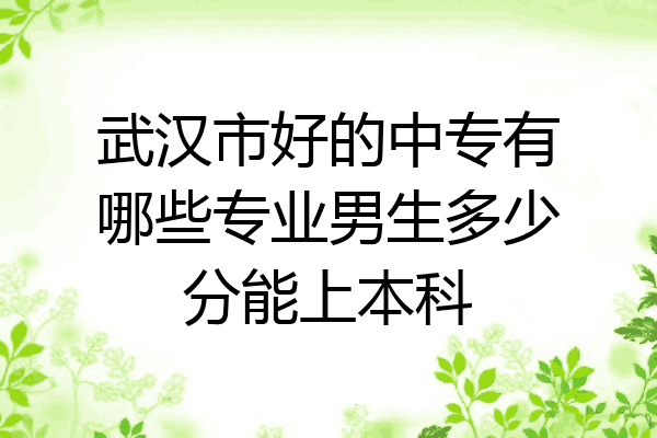 武汉市好的中专有哪些专业男生多少分能上本科