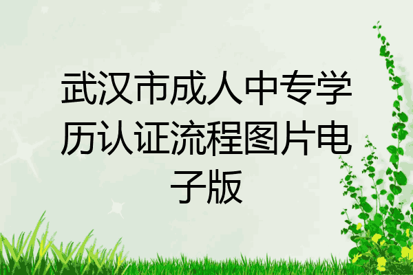 武汉市成人中专学历认证流程图片电子版