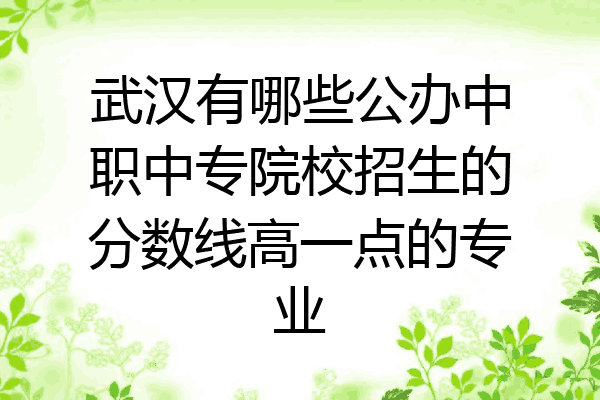 武汉有哪些公办中职中专院校招生的分数线高一点的专业