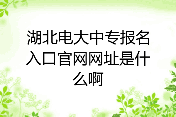 湖北电大中专报名入口官网网址是什么啊