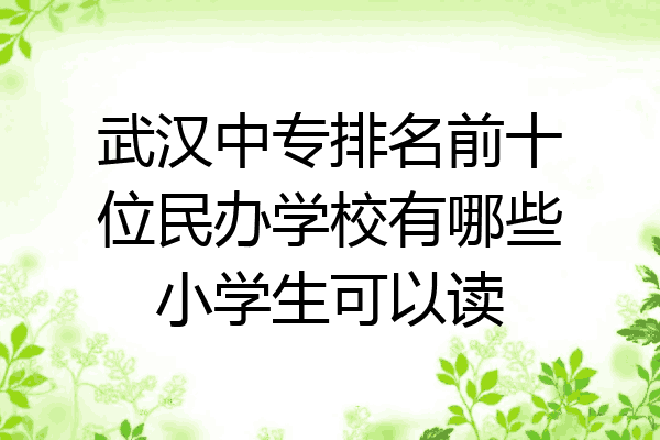 武汉中专排名前十位民办学校有哪些小学生可以读